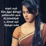 8cbe6a98b213c1ce7c327873d2ff15a0.jpg