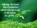 dc435064fe067cd10fc3b32a99332e55.jpg