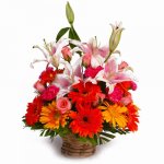 images(17).jpg