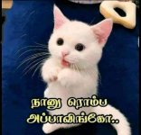 FB_IMG_1707027834595.jpg