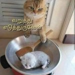 FB_IMG_1695618874266.jpg