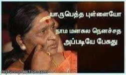 FB_IMG_1658906063062.jpg