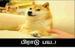 FB_IMG_1671162234052.jpg
